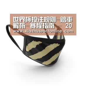 成人布口罩