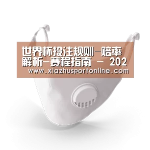 N95 口罩