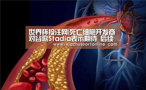 世界杯投注网|死亡细胞开发商对谷歌Stadia表示期待 后续DLC将陆续发布(图2) 世界杯下注官网