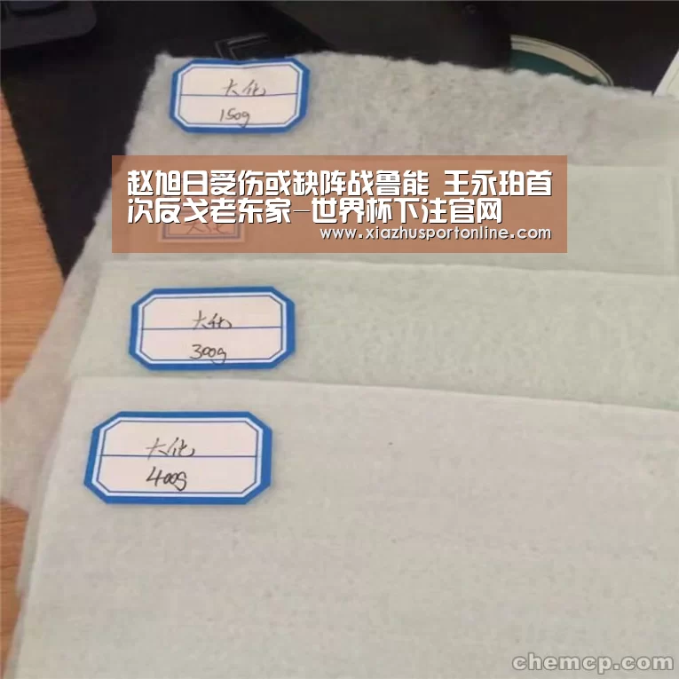 赵旭日受伤或缺阵战鲁能 王永珀首次反戈老东家-世界杯下注官网