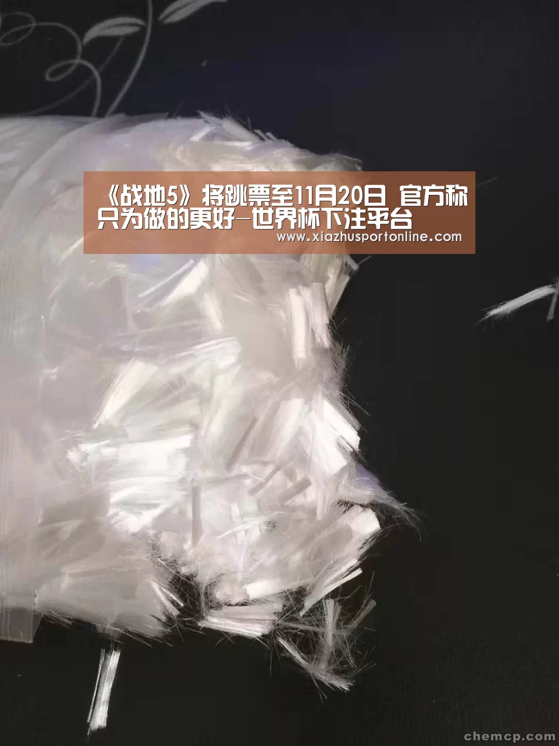 世界杯下注官网
